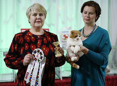 �������� ����� 22-23 ������ 2014, ������������ ��� �������� ����� 22-23 ������ 2014  ������������ ��� 169A8355 copy.jpg